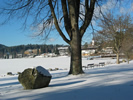 Schwarzwald im Winter, Titisee